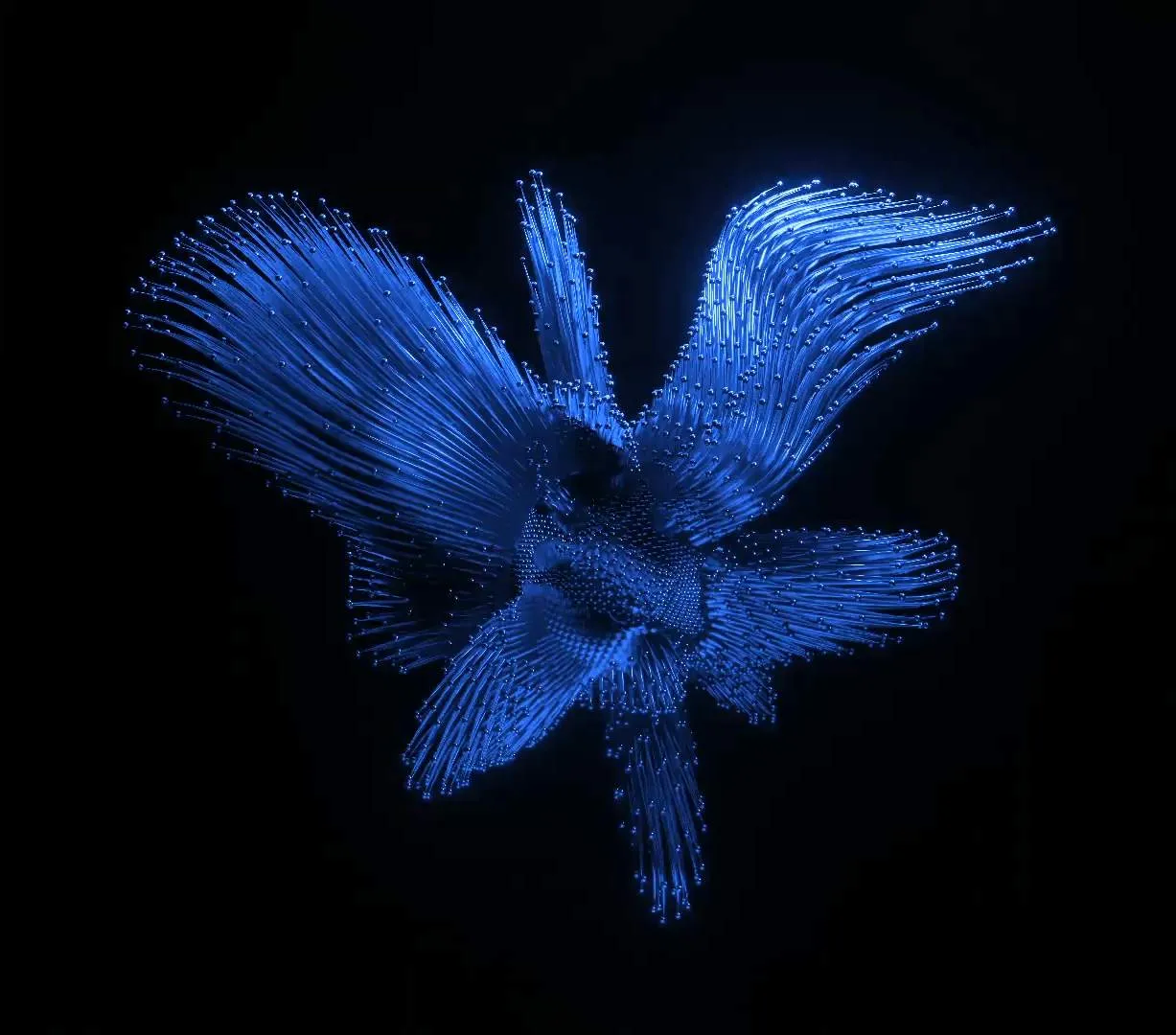C1